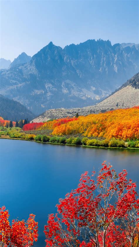 Colorful Spring Desktop Wallpaper 的图像结果