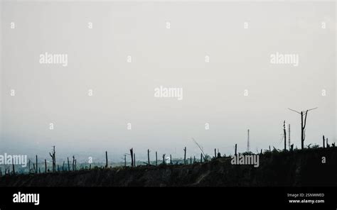 Image result for Merapi Eruption Footage