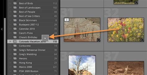 Smart Collection Lightroom 的图像结果