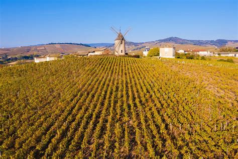 Louis Jadot 2022 Beaujolais-Villages Rating and Review | Wine Enthusiast