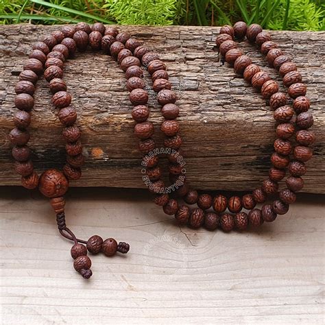 Buy Phoenix Eye Bodhi Raktu 8MM Seed Bead Mala Necklace Bracelet With ...