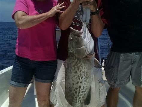 BITE BACK FISHING CHARTERS - All You Need to Know BEFORE You Go 2026 ...