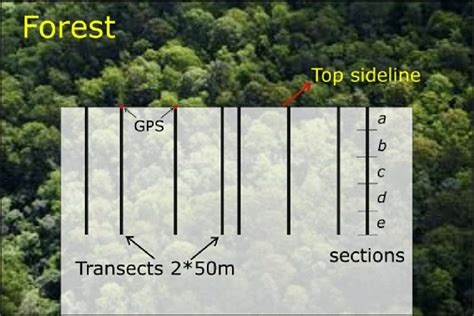 Image result for Random Sampling in Botanical