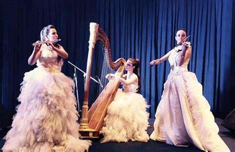 Violin Player in Surat | Violinist Hire For Wedding in Surat