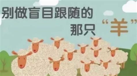 羊群效应：“从众”和“盲从”的临界点在哪里？_腾讯视频
