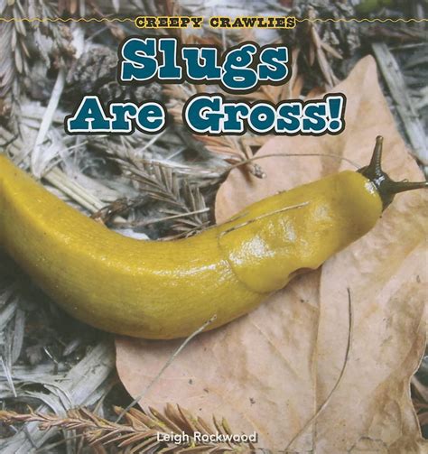Slugs Are Gross! (Creepy Crawlies) : Rockwood, Leigh: Amazon.in: Books
