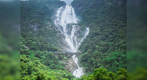 Goa’s Dudhsagar Falls: A trek to remember, Goa - TimesTravel