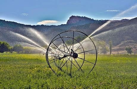 灌溉 的图像结果