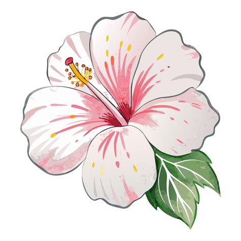 Pink hibiscus flower clipart – Artofit