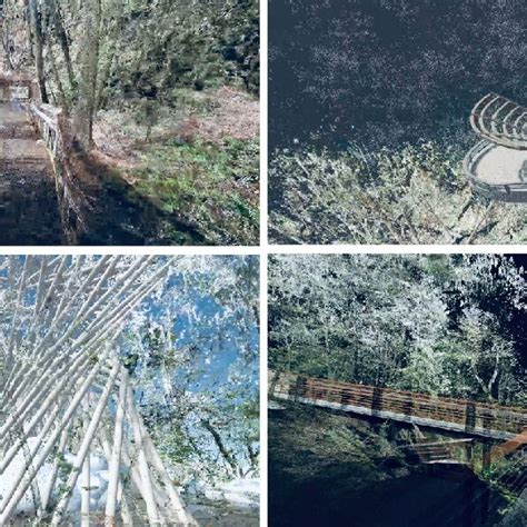 Image result for Interactive Point Cloud Unity