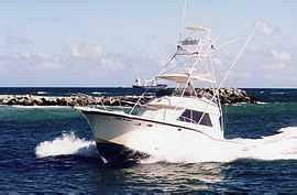 MARLIN MY DARLIN/ ALL- INCLUSIVE SPORTFISHING (2026) All You Need to ...