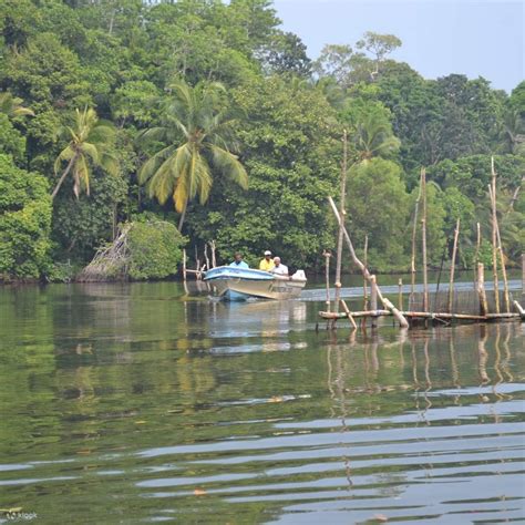 Madu River Private Boat Cruise Safari - Klook India