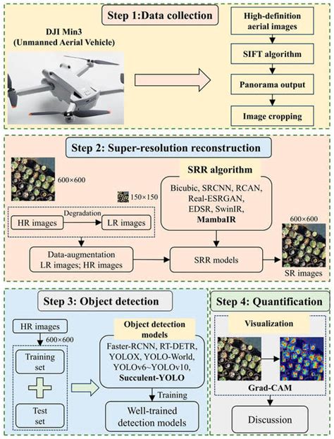 Succulent-YOLO: Smart UAV-Assisted Succulent Farmland Monitoring with ...