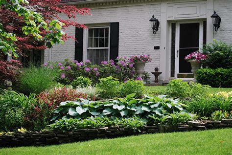 Best Full Sun Plants For Front Yard at Pearl Brandon blog