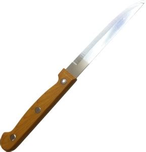 Aveo 1 Pc Stainless Steel Knife Steady Brown Large Riveted Knife Price ...