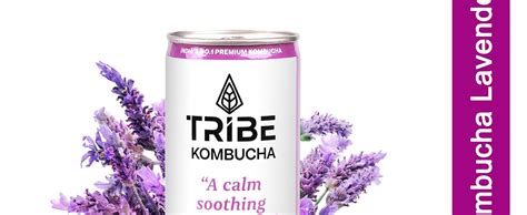 Tribe Kombucha Naturally Sparkling Probiotic Super Drink| Rose & Tulsi ...