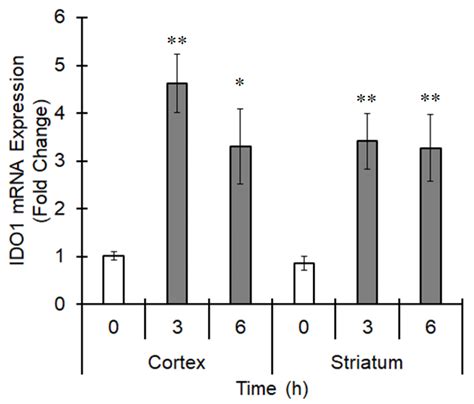 Involvement of the Microglial Aryl Hydrocarbon Receptor in ...