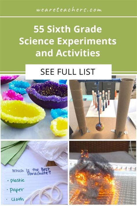 Science Project for 6 Grade 的图像结果