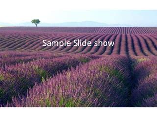 Image result for Sample PowerPoint Slideshow