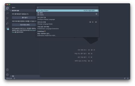 Image result for Ngodingdart Vscode