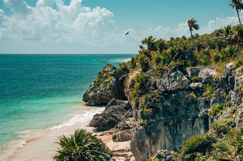 Tulum Guide 的图像结果