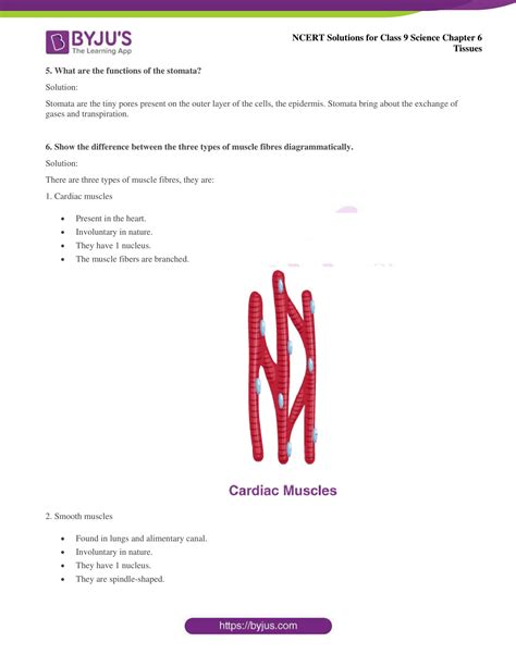Image result for Flow Chart of Class 9 Science Ch.6 Tissue
