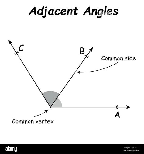 Adjacent angles in mathematics. Two angles with common vertex and side ...