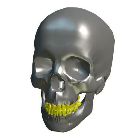 p3d.in - skull