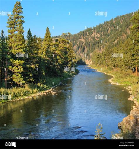blackfoot river in the johnsrud recreation area near potomac, montana ...