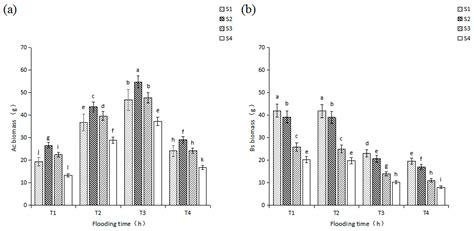 Leaf Enzyme and Plant Productivity Responses to Environmental Stress ...