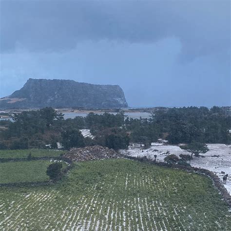 BROWN SUITES JEJU HOTEL AND RESORTS (Seogwipo, Jeju Island) - Hotel ...