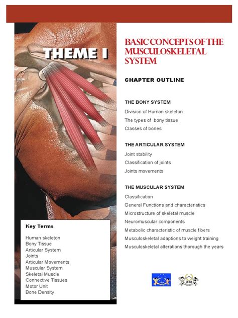Image result for Introduction to Musculoskeletal System