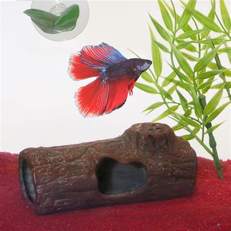 Ceramic Sinking Fish Shelter Zoo Med Sinking Ceramic Betta Hide Log - 4 ...