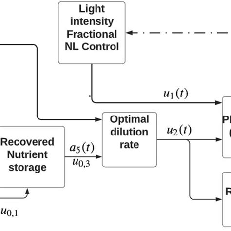 Image result for Lux Algorithm