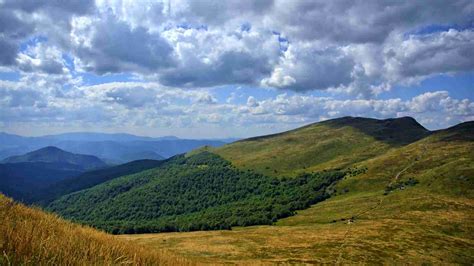 Poland 的图像结果