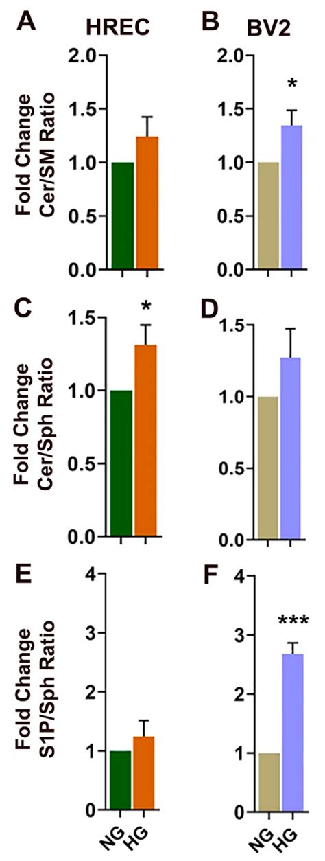 A Comprehensive Profiling of Cellular Sphingolipids in Mammalian ...