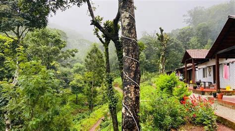 Chikmagalur Homestay With Private Waterfalls | KeyTerns