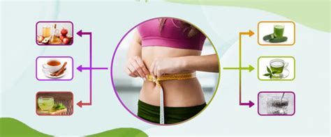 Top 10 Best Drinks to Reduce Belly Fat (#8 is Surprising!) – Lets Moderate