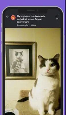 Best Meme Apps for iPhone Users