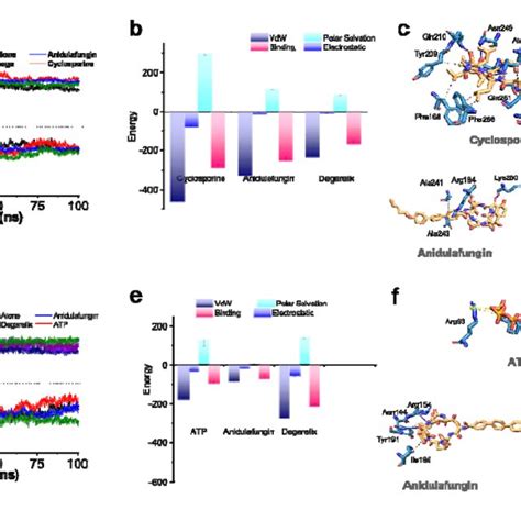 Image result for MM-PBSA Python API