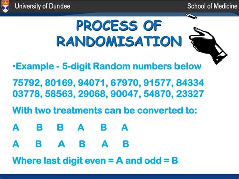 Randomisation 的图像结果
