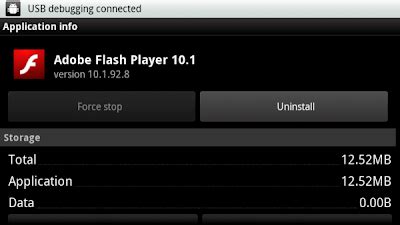 Flash Player 12.0.0.24 Beta (IE)