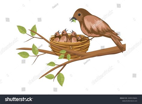 21+ Thousand Bird Nest Drawing Royalty-Free Images, Stock Photos ...