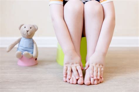 How To Deal With Toilet Training Regression at Edward Oneal blog