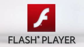 Image result for Flash Player Test 2012