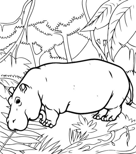 Nijlpaard Kleurplaat Afbeeldingen - Gratis downloaden op Freepik