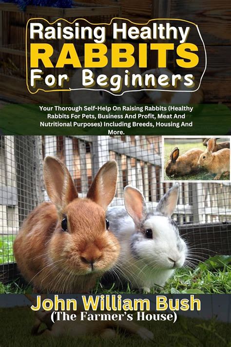 RAISING HEALTHY RABBITS FOR BEGINNERS: Your Thorough Self-Help On ...
