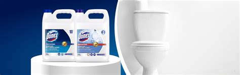 Disinfecting Tips to Maintain Proper Sanitation and Hygiene in Toilets ...