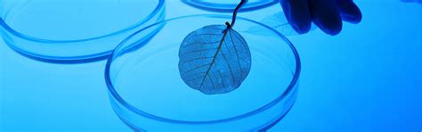 MSc – Biotechnology - Ramaiah College of Arts, Science and Commerce