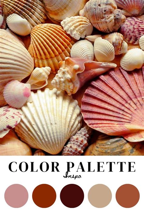 Image result for Shell Colour